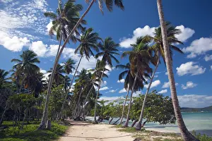 Playa: Dominican Republic, Samana Peninsula, Las