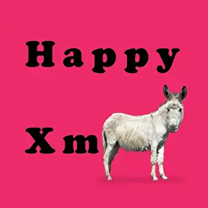 161018: Donkey / Ass, Happy Christmas / xmas