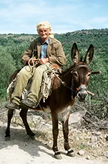 Donkey: DONKEY - with man riding