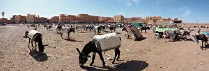 Townsmall: Donkey parking, Rissani, Mekn&, x8ced;Tafilalet region