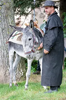 Clothe: A donkey to work in the saddle Day at Donkey Westhalten