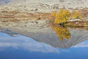 Oppland: Doralen autumn Mount Stygghoin reflection in lake Dorald
