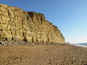 Bearing: Dorset coast