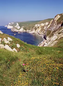 Valerian: DORSET - Durdle Door, Nr Lulworth