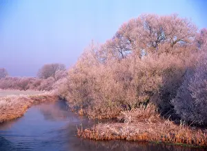 Marshall: DORSET- River Stour at Sturminster Marshall