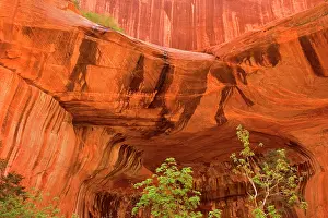 Alcove: Double Arch Alcove - carved in a 2000 foot sandstone