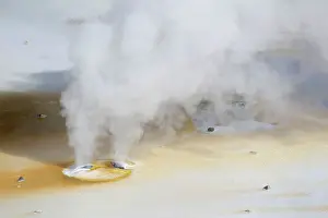 Metals: Double Steam Vent in Norris Geyser Basin