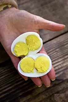 Double: Double-Yolk Egg