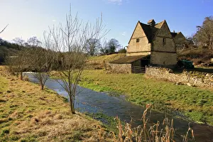 Dovecote: The Dovecote