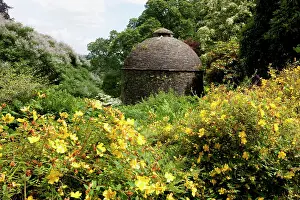 Paul Felix: The Dovecote in the garden at Cotehele House