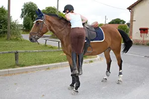 Ager: Downhill Horse France