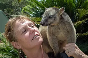 Lumholtzi: Dr Karen Coombes carer from Tree Kangaroo Rescue Centre