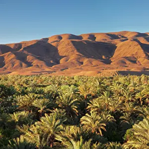 Draa: Draa Valley, Atlas Mountains, South Morocco, Morocco