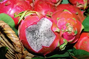 Hylocereus: DRAGON FRUIT