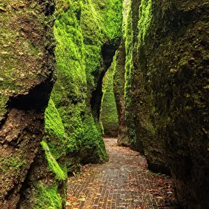 Naturschutzgebiet: Dragon gorge, rock faces with moss, gorge near Eisenach