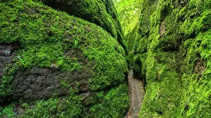 Naturschutzgebiet: Dragon gorge, rock faces with moss, gorge near Eisenach
