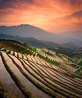 Backbone: Dragon's Backbone Rice Terraces near Yao