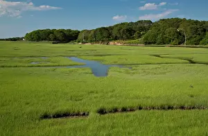 Massachusetts: Drainage pattern on saltmarsh