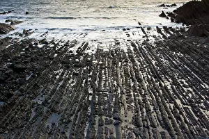Quay: The dramatic heavily-folded sandstone and mudstone