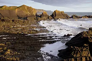 Folded: The dramatic heavily-folded sandstone and mudstone rocks