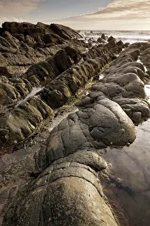 Folded: The dramatic heavily-folded sandstone and mudstone rocks