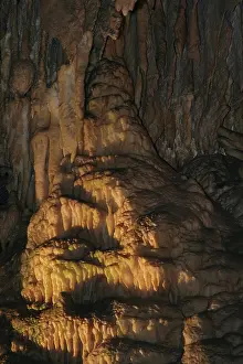 Drapery: Drapery Room