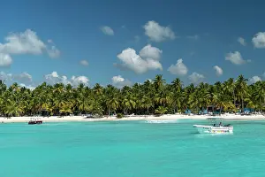 Lonesome: Dream beach, sandy beach with palm trees and turquoise