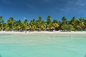 Lonesome: Dream beach, sandy beach with palm trees and turquoise