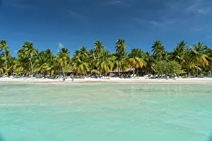 Lonesome: Dream beach, sandy beach with palm trees and turquoise