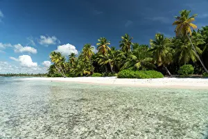 Lonesome: Dream beach, sandy beach with palm trees and turquoise