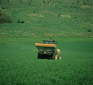 Dressing: Top dressing fertilizing Wheat