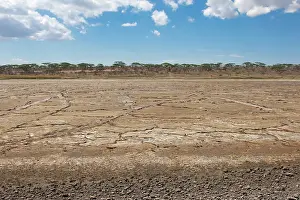 Crack: Dried up cracked earth at Ndutu Lake
