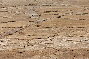 Cracks: Dried up cracked earth at Ndutu Lake
