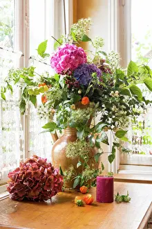 Hydrangea: Dried Hydrangea bouquet France, Pas de Calais, t