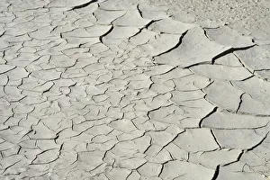 Parched: Dried Mud