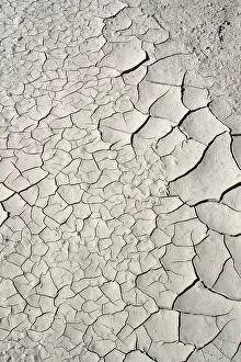 Parched: Dried Mud