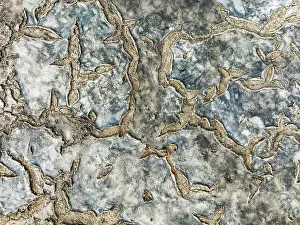 Mud Cracks: Dried mud in the marshland of the Bahía de Cádiz Nature Reserve