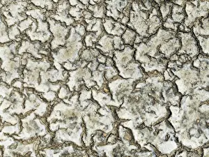 Mud Cracks: Dried mud in the marshland of the Bahía de Cádiz Nature Reserve