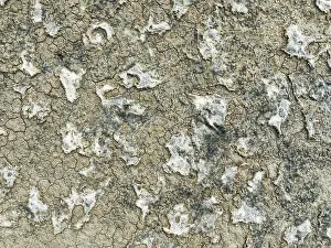Mud Cracks: Dried mud in the marshland of the Bahía de Cádiz Nature Reserve