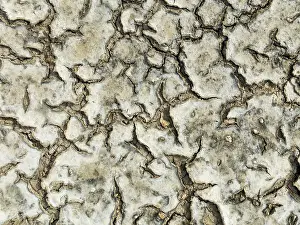 Mud Cracks: Dried mud in the marshland of the Bahía de Cádiz Nature Reserve