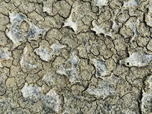 Mud Cracks: Dried mud in the marshland of the Bahía de Cádiz Nature Reserve
