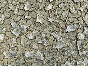 Mud Cracks: Dried mud in the marshland of the Bahía de Cádiz Nature Reserve