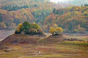 Artificial: Dried-out reservoir, Altbringhausen in the Kellerwald