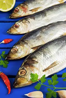 Flat: Dried and smoked Atlantic herring (Clupea harengus)