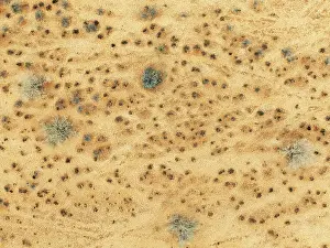 Dry River: Dried-up river bed with sparse vegetation
