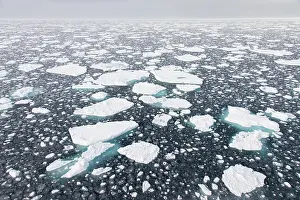Pole: Drift ice
