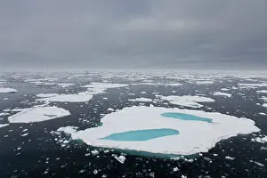 Pole: Drift ice