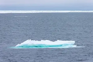 Climate Change: Drift ice