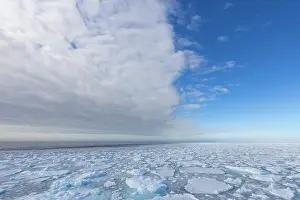 Climate Change: Drift ice