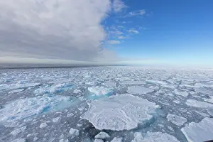 Climate Change: Drift ice